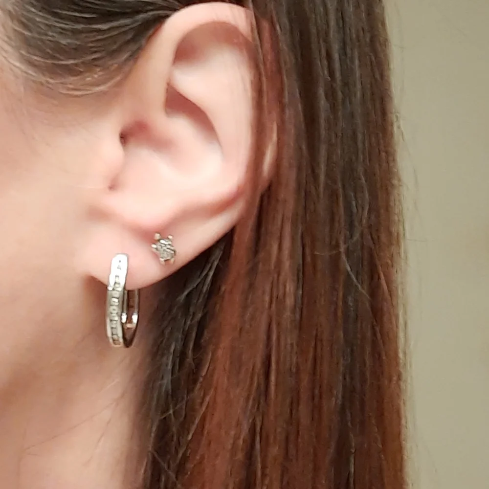 Turtle Stud Earrings